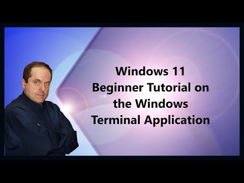 Windows 11 Beginner Tutorial on the Windows Terminal Application
