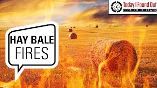Why Does Moist Baled and Stacked Hay Spontaneously Catch Fire?
