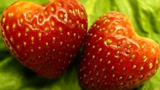 Amor Fresa Lyrics English Translation