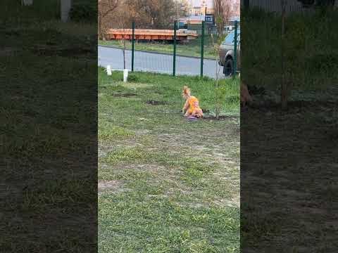 Игрушка для собак Летающая тарелка, фрисби для собак - фото 3 - id-p2587199882