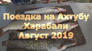 Рыболовные база харабалинского района астраханской области