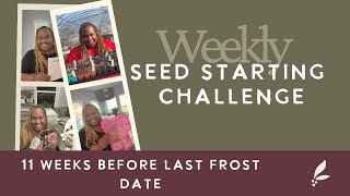Weekly Seed Starting Challenge| 11 Weeks Before Last Frost Date