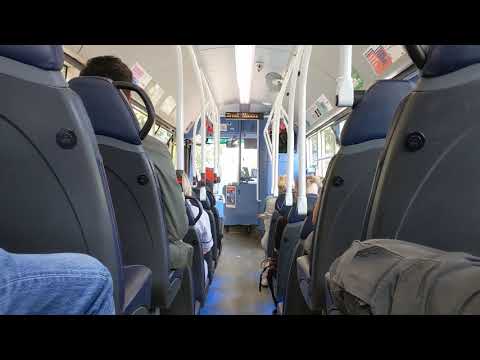 New Allocation | Coaster 1B: 5479/NK17GKA - Wright Streetlite DF