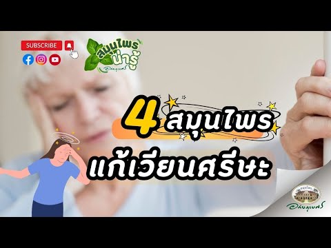 4 สมุนไพร แก้เวียนศีรษะ มึนหัว วิงเวียน l สมุนไพรน่ารู้ (2024)