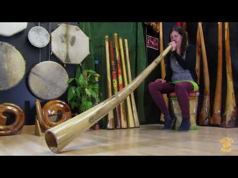 Didgi Hibisco Slide 180cm