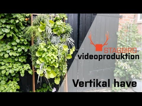 Vertikal have - gør-det-selv videoproduktion