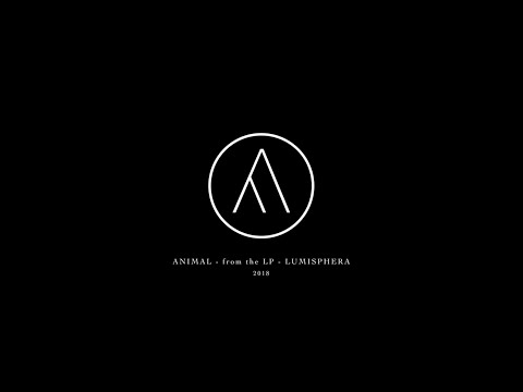 ESTADOS ALTERADOS - ANIMAL - (Oficial Visualizer)