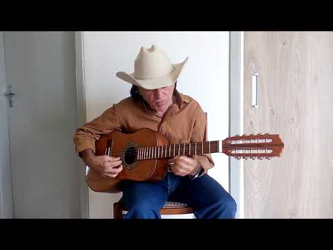 volta ao mundo com a viola