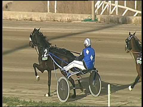 Trotto 31/01/2017 - 1ª corsa