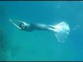 Фридайвинг freediving "Танец под водой" 