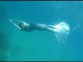 Фридайвинг freediving "Танец под водой" 