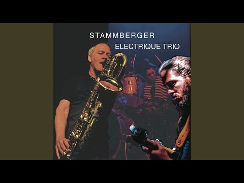 Stammberger Electrique Trio @ ImproCON Graz (Live)