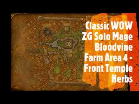 Classic WOW ZG Solo Mage Bloodvine Farm Area 4   Front Temple Herbs