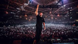 Butterflies x Gold Skies (Martin Garrix AMF 2024 Mashup)