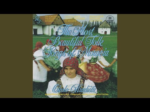 Čerešničky, čerešnicky