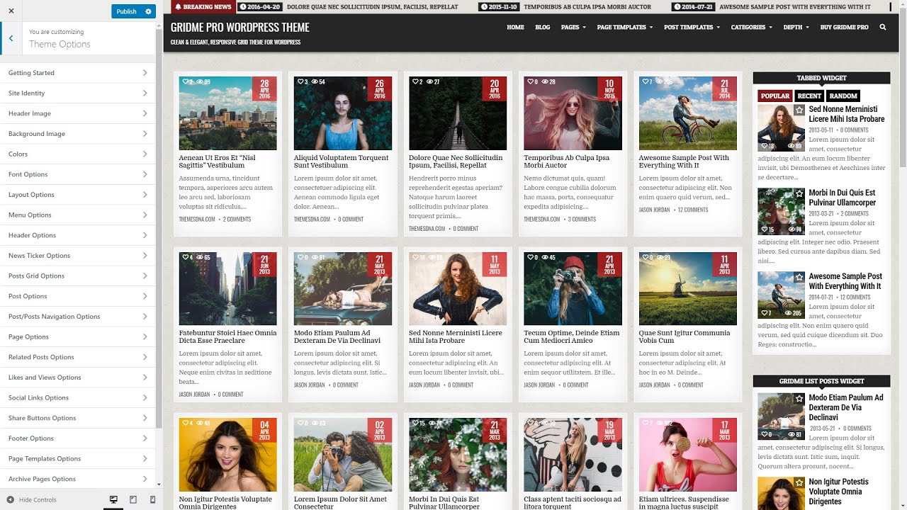 Customizer Theme Options - GridMe PRO WordPress Theme