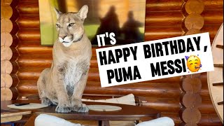 Happy Birthday, PUMA MESSI! Месси исполнилось 11 лет!🎉