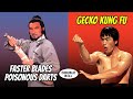Wu Tang Collection Faster Blades Poisonous Darts Gecko Kung Fu