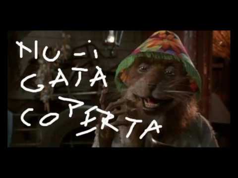 Rapha Saec & Epoch (Cong Rats) - All heil splinter