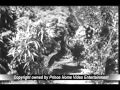Manonmani 1942 Ikamesugame Puchinnappa Trrajakumari Avi