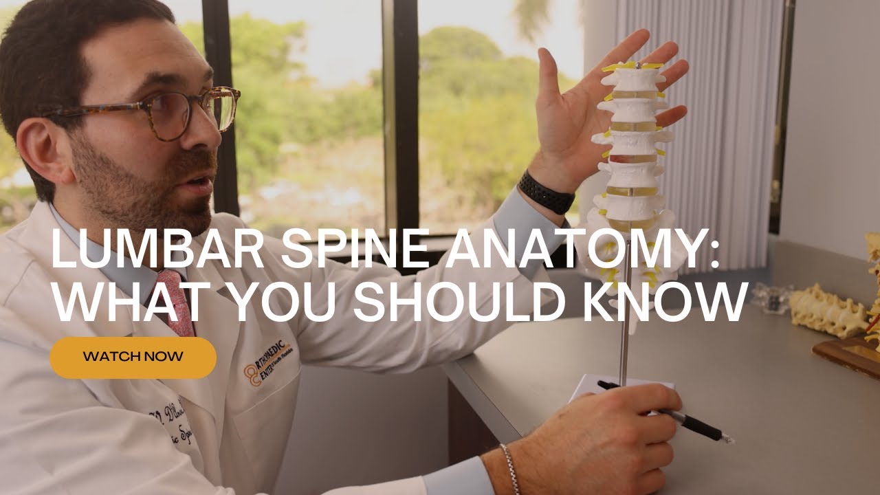 Lumbar Spine Anatomy: What You Should Know with Dr. Peter D'Amore