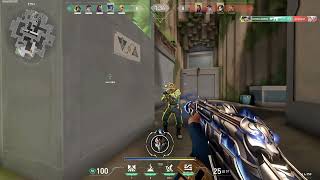 Spotlight Clip