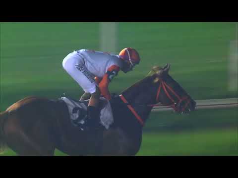 230603 C 11  - TIO PABLO - HIPODROMO DE MAROÑAS