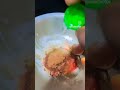 Highlight Treandig Part 1 Tandoori Murgh Musallam