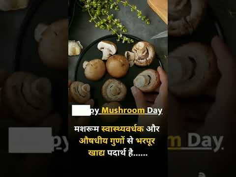 Happy Mashroom Day #mashroom #mashrooms #mashrooms? 