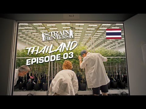 Strain Hunters: Thailand Expedition Episode 03