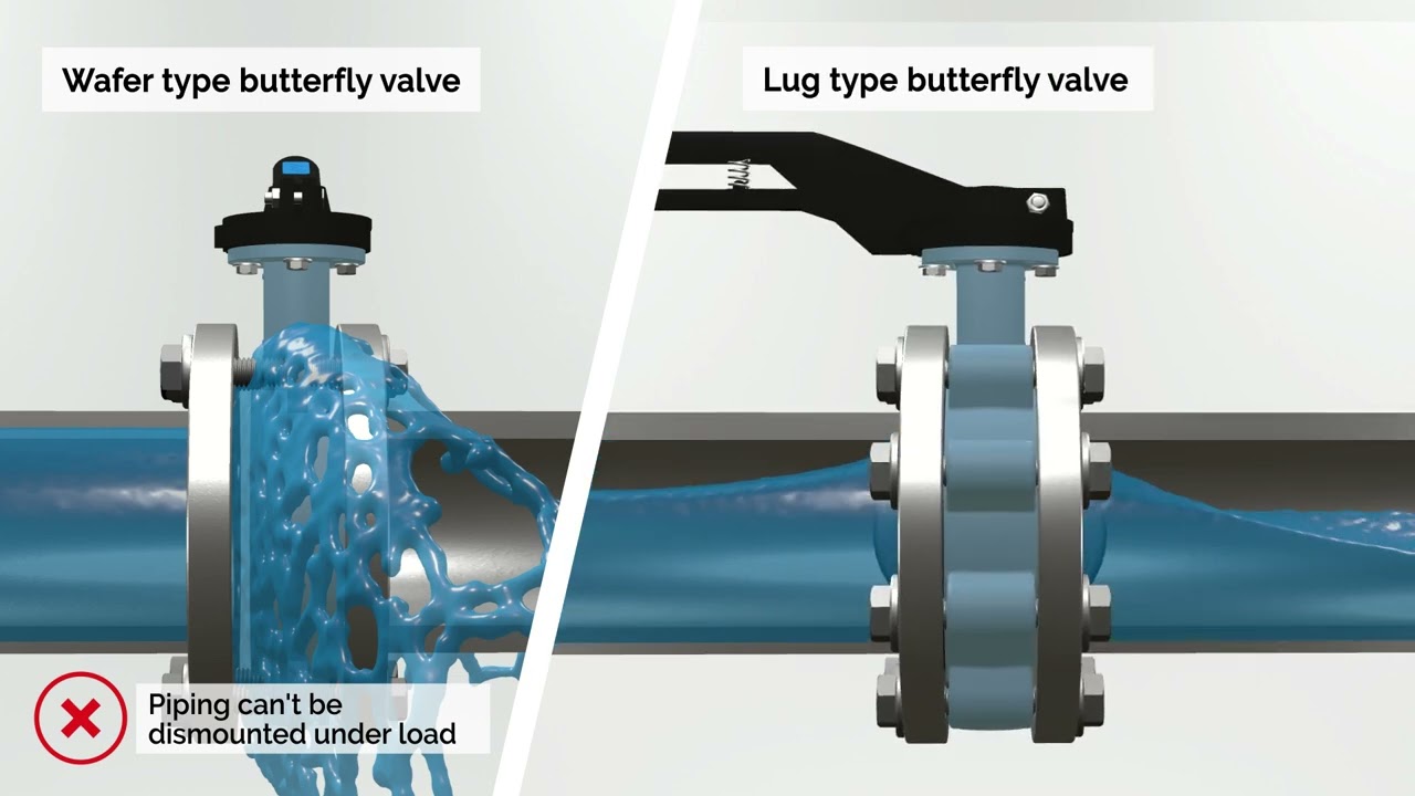 TTV Butterfly Valve  - wafer type vs lug type