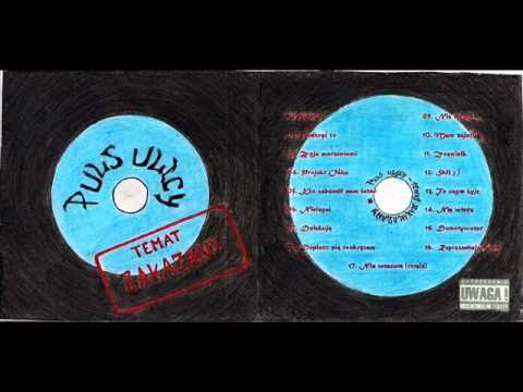 Puls Ulicy - Projekt Ośka