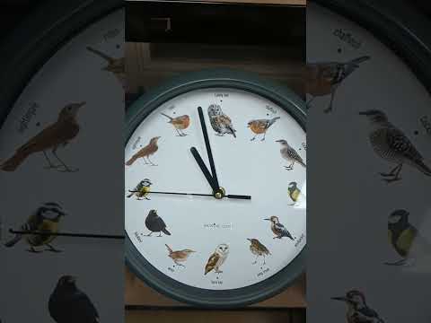 a clock with birds