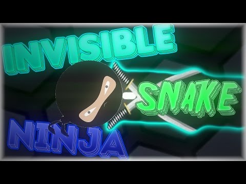INVISIBLE NINJA SNAKE GAMEPLAY - SLITHER.IO HACKS / SLITHER.IO MODS - INVISIBLE IMMORTAL SNAKE HACK