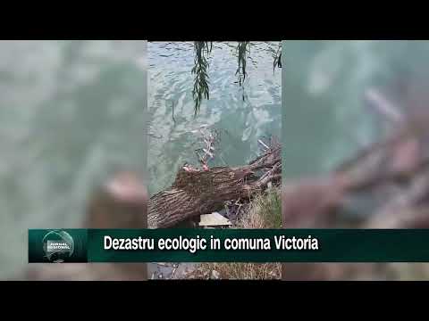 Dezastru ecologic in comuna Victoria