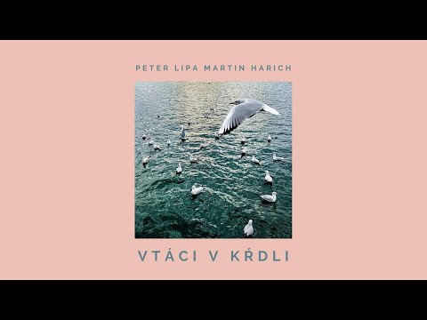 Vtáci v kŕdli - 60 min. verzia (Martin Harich feat. Peter Lipa)