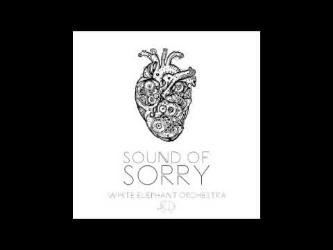 Sound Of Sorry - Andy Stochansky/ White Elephant Orchestra