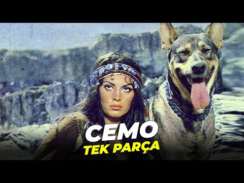 Cemo | Tek Parça