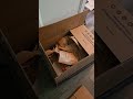 Chewy Deliveries Shorts Barnbesties