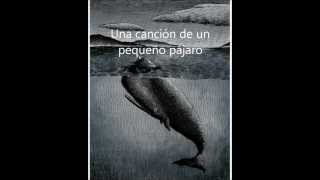 Fish & Bird - Tom Waits (subtítulos español)