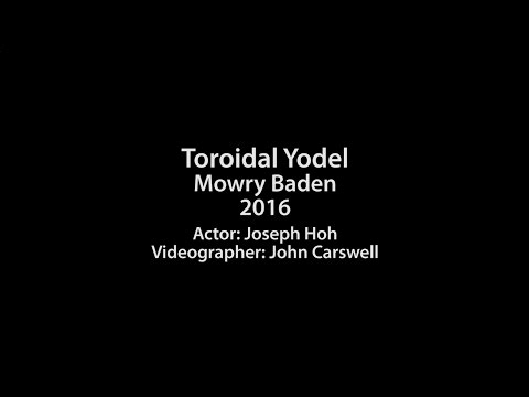 Toroidal Yodel (2016) by Mowry Baden