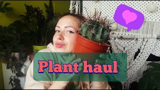 All cute plants I bought in IKEA + Update on my dying BIG CACTUS