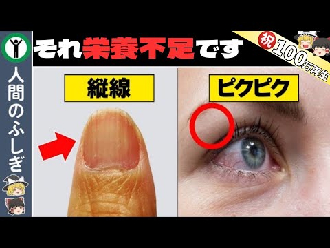 キヌア:カロリーと栄養価が一目でわかる 植物