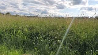 ☆ nach 35 Jahren endlich gesund ☆ Clean Slate Zero-in Restore von ROOT ☆ Danke ☆