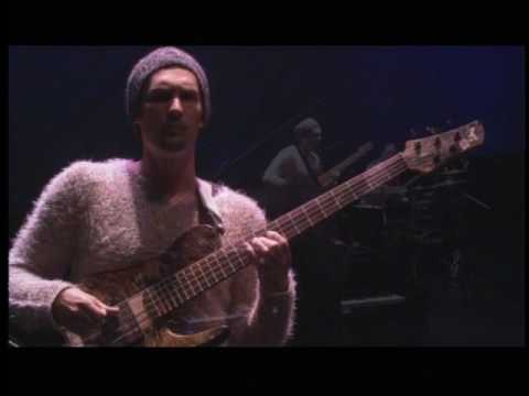 Tony Grey Bass solo (Hiromi live)