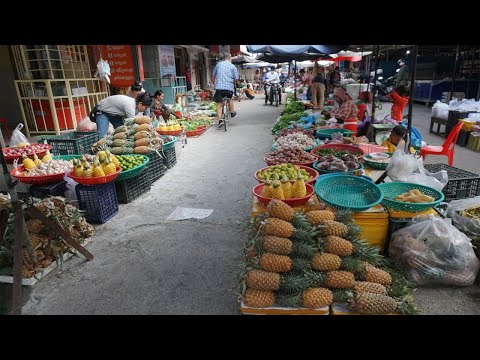 Morning Daily LifeStyle of Vendors Selling Food @Takhmao Thmey - Walk Around Street Food in Takhmao