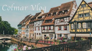 おとぎ話みたいな街コルマールはジブリの世界｜ワインとグルメ旅行Vlog【カラフルで可愛い路地に吸い込まれる】ハウルの動く城のような【前半】