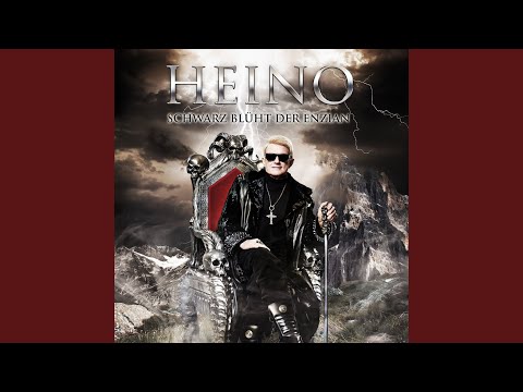 Schwarzbraun ist die Haselnuss