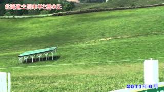 preview picture of video '羊と雲の丘 「北海道士別市」'