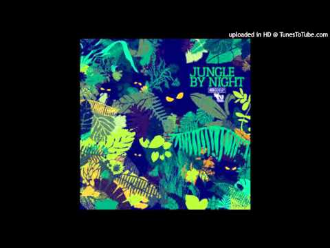 Jungle By Night - Termite